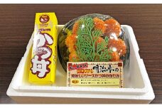 【明治亭ソースかつ丼】人生勝丼ヒレかつセットG[№5659-1212]