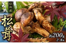 信州産「天然松茸」（約200g/2～8本） 野菜 きのこ まつたけ [№5659-1233]