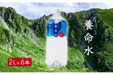養命酒製造「養命水」（2L×6本）[№5659-1234]
