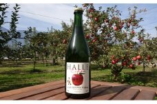 【信州産りんご】辛口シードル「HALLE」（750ml×1本）[№5659-1269]