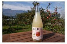 【信州産りんご】甘口シードル「OLION」（750ml×1本）[№5659-1270]