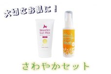 【大切なお肌に！】スプレー型化粧水＆日焼け止め「さわやかセット」[№5659-1286]