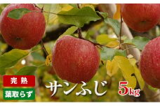 りんご 長野 完熟 サンふじ 5kg 葉取らず 産地直送 フルーツ 果物 デザート おやつ サンフジ リンゴ 林檎 秋 旬 冬 旬の果物 旬のフルーツ 信州 信州産 長野県 長野県産 2024 2024年 2025 2025年 [№5659-1315]