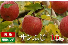 りんご 長野 完熟 サンふじ 10kg 葉取らず 産地直送 フルーツ 果物 デザート おやつ サンフジ リンゴ 林檎 秋 旬 冬 旬の果物 旬のフルーツ 信州 信州産 長野県 長野県産 2024 2024年 2025 2025年 [№5659-1316]