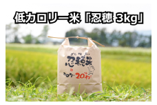 低カロリー米  忍穂（おしほ）3kg[№5659-1317]