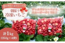 南信州産「冷凍いちご」 1kg（250g×4袋）【ヨッシャア駒ヶ根】[№5659-1359]