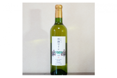 【信州産りんご】林檎ワイン（720ml×1本）[№5659-1364]
