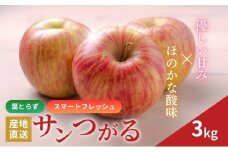 りんご 長野 スマートフレッシュ サンつがる 3kg 少人数家庭にぴったり 葉とらず 産地直送 フルーツ 果物 デザート おやつ リンゴ 林檎 さんつがる 秋 旬 スムージー ジャム 信州 長野県 長野県産 2024 2024年 [№5659-1378]