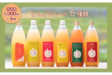 【信州産】りんごの個性にびっくり！ジュース6種セット（1,000ml×6本）[№5659-1453]