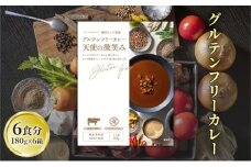 【奥田政行シェフ監修】グルテンフリーカレー「天使の微笑み」（6箱入り）[№5659-1458]