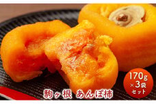 駒ヶ根あんぽ柿 [№5659-1469]