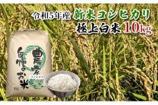 【農家直送/令和5年産新米】長野県産「コシヒカリ」（10kg）（炊飯食味値88点の極上白米） [№5659-1498]