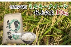 【農家直送/令和6年産新米】長野県産「ミルキークイーン」（10kg）（炊飯食味値91点の極上白米）[№5659-1499]