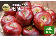 りんご 長野 贈答用 リンゴ 秋映 約4.5kg（16～18玉） 産地直送 ギフト プレゼント 贈答 贈答品 贈り物 フルーツ 果物 デザート あきばえ 秋 旬 信州 長野県 長野県産