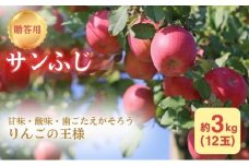 りんご 長野 贈答用 リンゴ サンふじ 約3kg （12玉） 産地直送 ギフト プレゼント 贈答 贈答品 贈り物 フルーツ 果物 デザート サンフジ 秋 旬 信州 長野県 長野県産