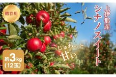 りんご 長野 贈答用 リンゴ シナノスイート 約3kg （12玉） 産地直送 ギフト プレゼント 贈答 贈答品 贈り物 フルーツ 果物 デザート 林檎 秋 旬 信州 長野県 長野県産