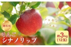りんご 長野 贈答用 リンゴ シナノリップ 約3kg （12玉） 産地直送 ギフト プレゼント 贈答 贈答品 贈り物 フルーツ 果物 デザート おやつ 林檎 旬 信州 長野県 長野県産