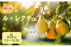洋梨 長野 贈答用 ル・レクチェ 約5kg （12～18玉） 西洋なし 産地直送 ギフト プレゼント 贈答 贈答品 贈り物 蜜 フルーツ 果物 デザート おやつ 洋ナシ 秋 旬 長野県