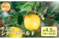 りんご 長野 贈答用 リンゴ シナノゴールド 約4.5kg（14玉～18玉） 産地直送 ギフト プレゼント 贈答 贈答品 贈り物 フルーツ 果物 デザート おやつ 秋 旬 信州 長野県