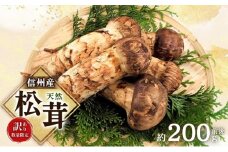 【訳あり】数量限定/信州産「天然松茸」（約200g前後）[№5659-1561]