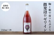 十文字ガルテン「ハザルデ」ペティアンロゼ 微発泡ワイン 750ml 駒ヶ根市 ワイン[№5659-1606]