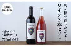 十文字ガルテンのワイン2本セット（赤ワイン・微発泡ロゼ 750ml 各1本） 駒ヶ根市 ワイン[№5659-1608]