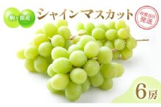 駒ヶ根産シャインマスカット6房 ブドウ ぶどう 葡萄 果物 フルーツ 季節限定 産地直送 産直 駒ヶ根市[№5659-1642]