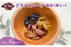 駒ヶ根産　ドライフルーツ　葡萄3種セット ブドウ ぶどう 葡萄 果物 ドライフルーツ 駒ヶ根市[№5659-1643]