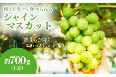 ぶどう シャインマスカット 約700g（1房）果物 フルーツ デザート 信州 長野 駒ケ根市[№5659-1660]