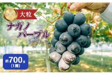 ぶどう ナガノパープル 約700g（1房）果物 フルーツ デザート 信州 長野 駒ケ根市[№5659-1662]