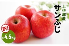 (訳あり)サンふじ 4.5kg[№5659-1626]
