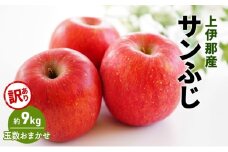 訳あり りんご サンふじ 9kg (玉数おまかせ) 果物 フルーツ 信州 長野 駒ヶ根市[№5659-1627]