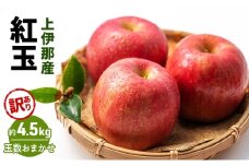 訳あり 紅玉4.5kg(玉数おまかせ)[№5659-1628]