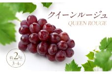 【農家からもぎたて直送】クイーンルージュ 2kg（3～4房）駒ヶ根市 フルーツ お取り寄せ ぶどう ブドウ[№5659-1678]