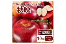 ＜先行受付＞りんご 秋映 ご家庭用 10kg【1494505】