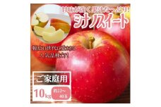 ＜先行受付＞りんご シナノスイート家庭用10kg【1494507】