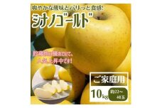 ＜先行受付＞りんご シナノゴールド 家庭用 10kg【1494508】