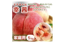 ＜先行予約＞もも 幸茜 家庭用 5kg(12~20個)＜2024年9月上旬頃より配送予定＞【1495837】