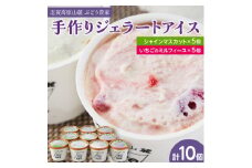 信州なかの　手作りジェラート2種セット(10個入り)【1204751】