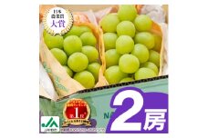 ＜2025年発送＞シャインマスカット2房1kg以上　JA中野市から直送【1272457】