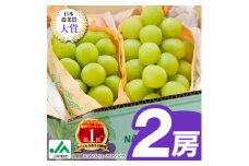 ＜2025年発送＞シャインマスカット2房1kg以上　JA中野市から直送【1272457】