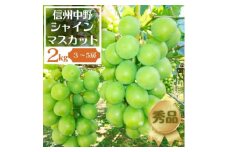 長野県中野市産ぶどう・シャインマスカット秀品 2kg箱 3～5房入り【1494258】