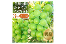 長野県中野市産ぶどう・シャインマスカット秀品 3kg箱 4～7房入り_ ブドウ ぶどう 葡萄 フルーツ 果物 くだもの 甘い シャイン マスカット 3kg 人気 秀品 種なし 長野県 信州 中野市 産直 ギフト 贈り物 プレゼント 贈答 【1494261】