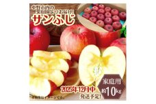 ◆2025年12月中発送◆りんご サンふじ家庭用 約10kg(24～42玉)【1494948】