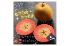 ＜希少赤い果肉!数量限定＞なかののきらめき家庭用5kg(16玉～20玉)2024年11月末頃より発送【1494785】
