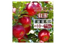 ＜先行受付＞りんご(紅玉) 家庭用 約10kg(40～50玉)【1494254】
