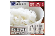 小柳農園の特別栽培米コシヒカリ6kg(2kg×3)_ コメ 米 こめ おこめ お米 こしひかり 特別栽培米 人気 おすすめ 送料無料 産地直送 【1204249】