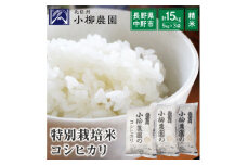 小柳農園の特別栽培米コシヒカリ15kg(5kg×3)_ コメ 米 こめ おこめ お米 こしひかり 特別栽培米 人気 おすすめ 送料無料 産地直送 【1204307】