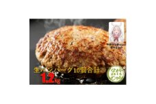 和牛入り生ハンバーグ　10個セット【1281816】