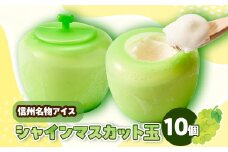 信州シャインマスカット玉　105ml×10個セット【1303394】